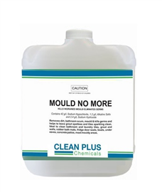 Clean Plus Mould No More 333