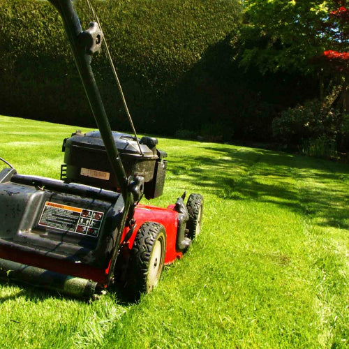 How to change the oil in your lawn mower?