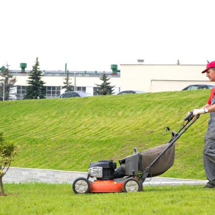 How to choose the right lawn mower?