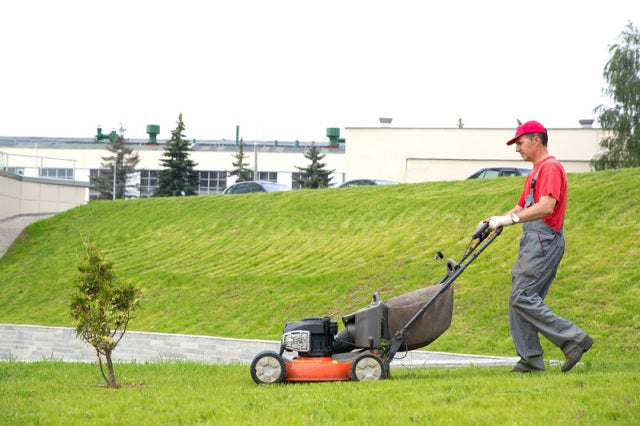 How to choose the right lawn mower?