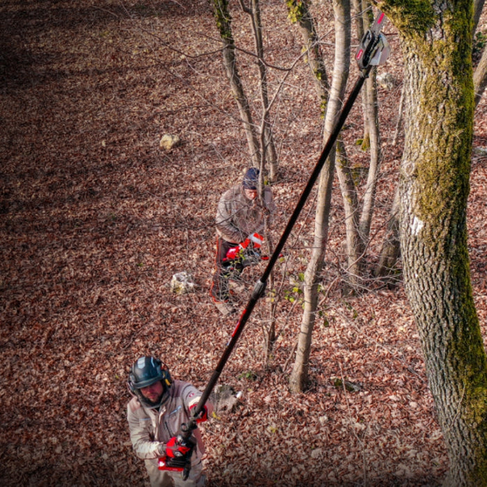 Kress Commercial 60V 25 cm / 10" Pole Saw KC330.9