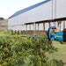 Makita 18V Brushless Hedge Trimmer 600mm DUH602Z