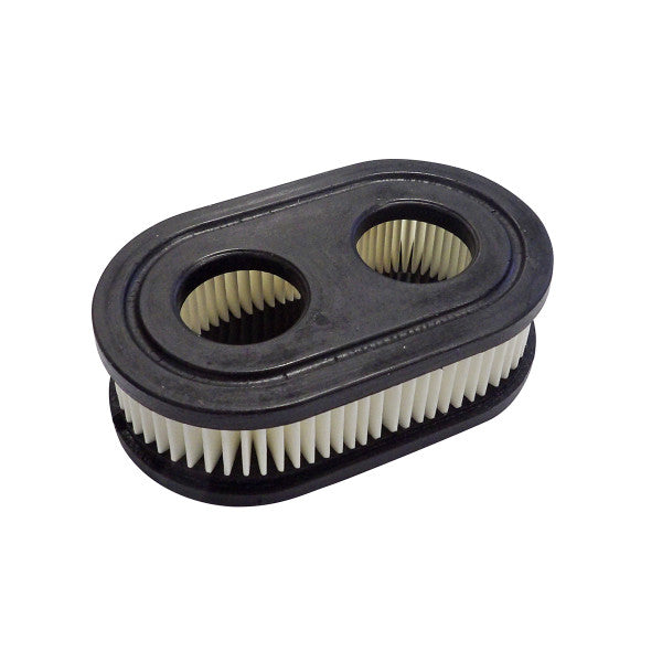 Briggs & Stratton Air Filter & Pre-filter Oem 798452 Fits 550ex Eng