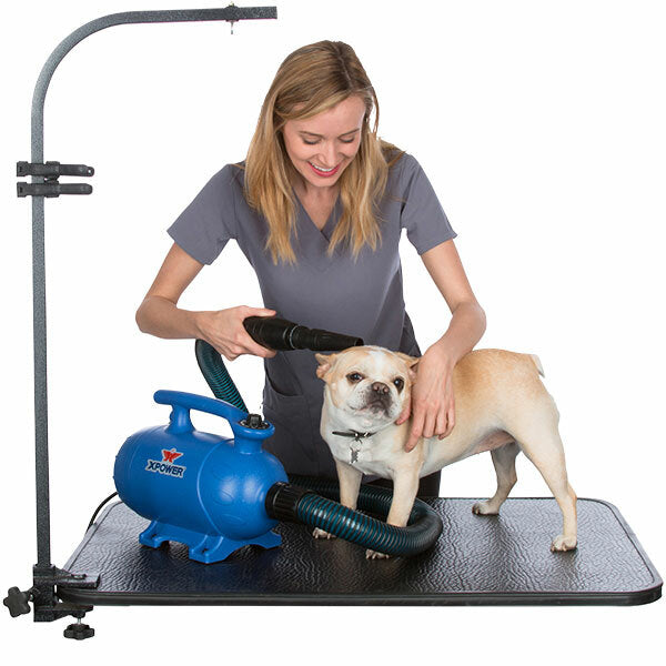 XPOWER B-4 1200W 2 in 1 Mobile Professional 3HP Variable Speed Pet Grooming Dryer Vacuum